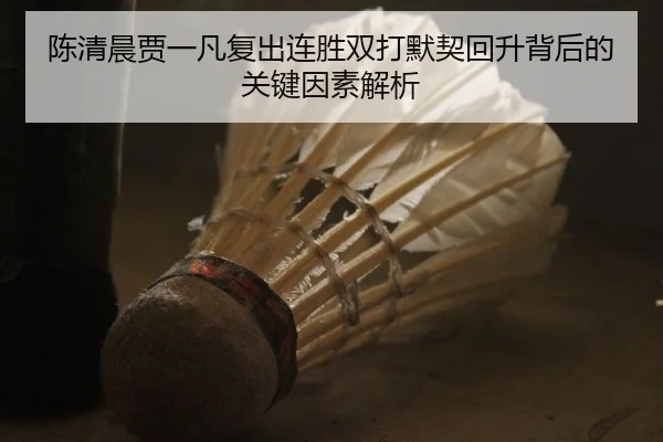 陈清晨贾一凡复出连胜双打默契回升背后的关键因素解析