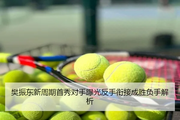 樊振东新周期首秀对手曝光反手衔接成胜负手解析